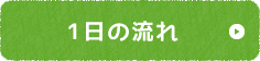 1日の流れ