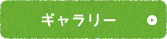 ギャラリー